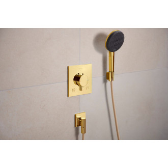 Ruční sprcha Hansgrohe Raindance Alive Select S leštěný vzhled zlata 24500990