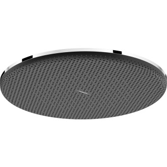 Hlavová sprcha Hansgrohe Raindance Alive S na strop nebo na stěnu chrom 24520000