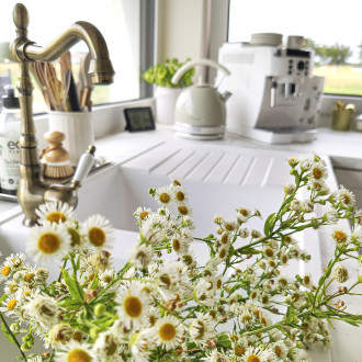 Laveo EVORA BAE_565D Dřezová baterie, mosaz