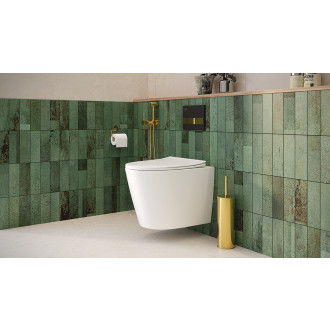 Laveo JARI Cycleon závěsné WC rimless včetně sedátka, bílá VMJ_609S