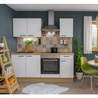 Kuchyňská linka se spotřebiči, dřezem a dřezovou baterií Naturel 195x60x91 cm mat alpská bílá 