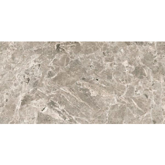 Dlažba Porcelaingres Estro grey 30x60 cm mat X630471X8