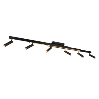 Stropní světlo Trio Zeno černá 648310732