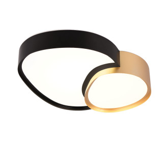 Stropní světlo Trio Rise černá 647510280