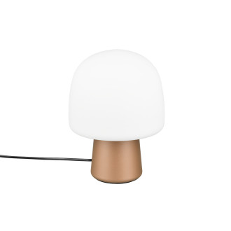 Stolní lampa Trio Steen hnědá 568200165