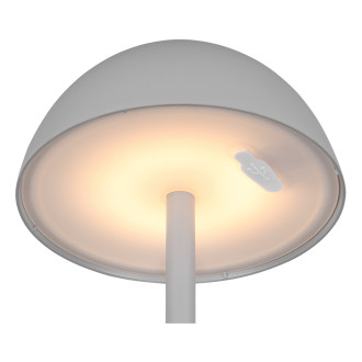 Stolní lampa Reality Ricardo šedá R54106177