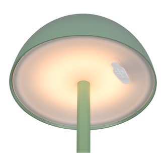 Stolní lampa Reality Ricardo pistáciově zelená R54106149