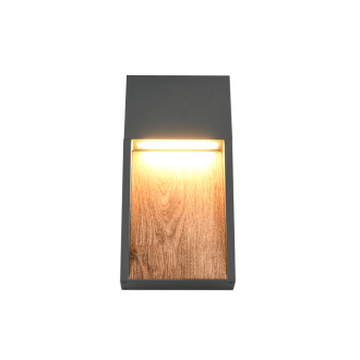 Nástěnné světlo Trio Salmon dřevodekor 246960135