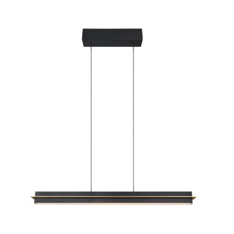 Závěsné světlo Trio Emerson černá 346710180