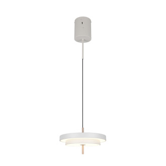 Závěsné světlo Trio Keaton šedá 340219176