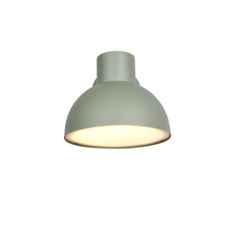 Nástěnné světlo Trio Elbe zelená 262360115