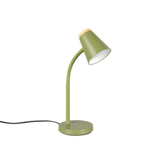 Stolní lampa Reality Pongo zelená R55831115