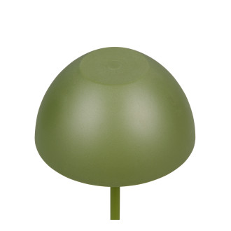 Stolní lampa Reality Ortiz zelená R55601115