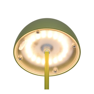 Stolní lampa Reality Ortiz zelená R55601115