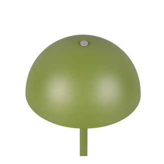 Stolní lampa Reality Munoz zelená R54891115
