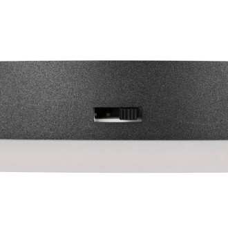 Stropní světlo Reality Calle černá R63631132