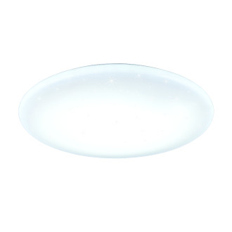 Stropní světlo Trio Sella bílá 649317000