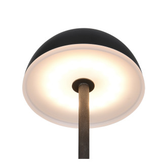 Stolní lampa Reality Tembo černá R53851102