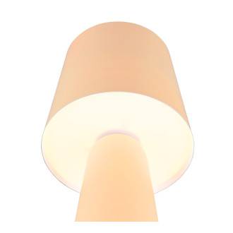 Stolní lampa Trio Nubian béžová 562900144