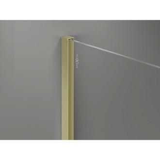 Mexen Kioto-X Sprchová zástěna 100 x 100 cm, 10 mm průhledná, kartáčované zlato - 800-100-202-55-00-100-X