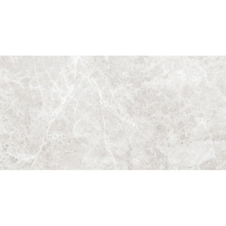 Mexen Lizard stříbrná glazovaná kamenina obdélníková G1, dlažba a obklad 120 x 60 cm, lesklá - TL109-120-060-03