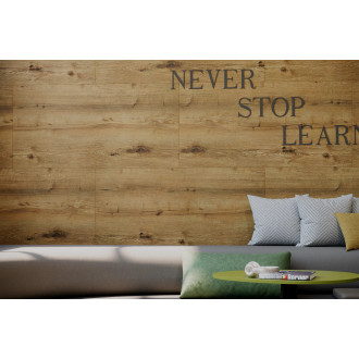 SPC nástěnný obklad vnitřní - Oak Tarvos