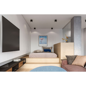 TIUBE Stropní světlo, černá SL.0697