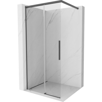 Mexen Rox Sprchová zástěna Walk-in 100 x 200 cm, 8 mm průhledná, kartáčovaná pistolově šedá - 8C2-100-003-66-00