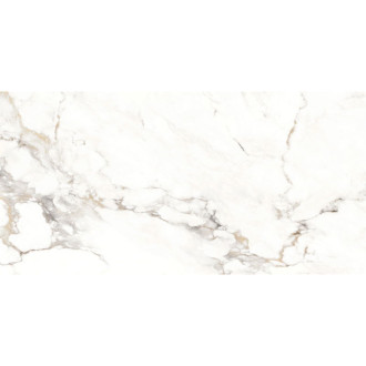 Mexen Scordia Grey próbka gresu szkliwionego rekt. G1, płytka podłogowo-ścienna 120 x 60 cm, połysk - TL125-00-S