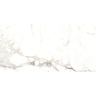 Mexen Scordia Grey próbka gresu szkliwionego rekt. G1, płytka podłogowo-ścienna 120 x 60 cm, połysk - TL125-00-S