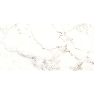 Mexen Scordia Grey próbka gresu szkliwionego rekt. G1, płytka podłogowo-ścienna 120 x 60 cm, połysk - TL125-00-S