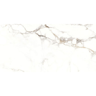 Mexen Scordia Grey próbka gresu szkliwionego rekt. G1, płytka podłogowo-ścienna 120 x 60 cm, połysk - TL125-00-S