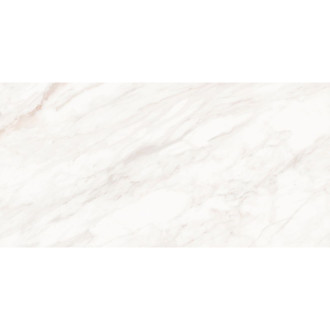 Mexen Forever Grey próbka gresu szkliwionego rekt. G1, płytka podłogowo-ścienna 120 x 60 cm, połysk - TL139-00-S