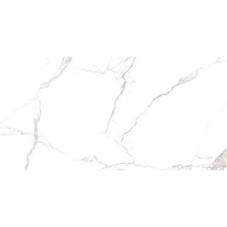 Mexen Micado Satvario próbka gresu szkliwionego rekt. G1, płytka podłogowo-ścienna 120 x 60 cm, połysk - TL146-00-S