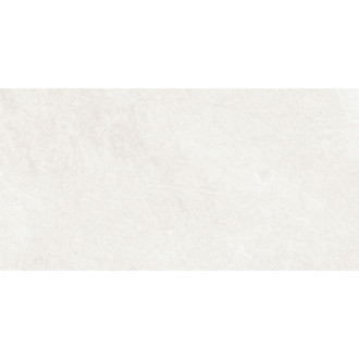 Vzorek francouzské stříbrné glazované kameniny Mexen, obdélníková, G1, dlažba a obklad 120 x 60 cm, lesklá - TL173-01-S