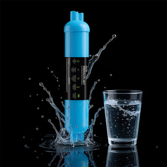 Mineralizing water filter
