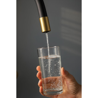 Riveco - sink mixer with flexible spout + water softening filter