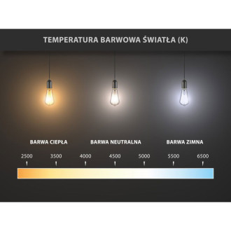 Mexen Vintis żarówka filament LED E27, G80, 6W, Ciepła - 2700K, 400 lm, amber - L155-E27-0627-50