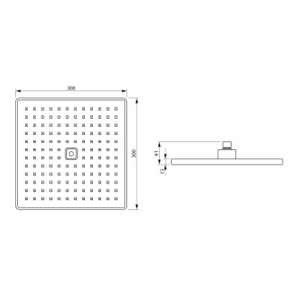 Hlavová sprcha, 300x300 mm, ABS/černá mat