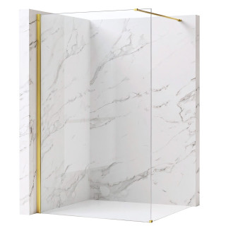 REA Sprchová zástěna Flexi Transparent / Gold 120 KPL-K99560