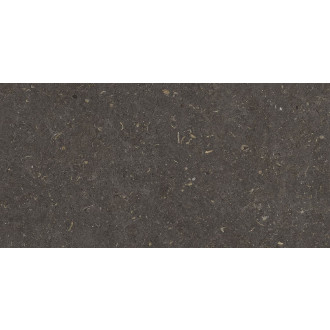 Dlažba Geotiles Vincen anthracite 30x60 cm mat VINCEN36AN
