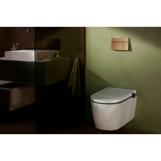 Ovládací tlačítko Hansgrohe iFrame Element E kov kartáčovaný bronz mat 66003140