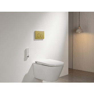 CERANO - Ovladací tlačítko WC modulů Lite/Duo - ABS - kartáčovaná zlatá