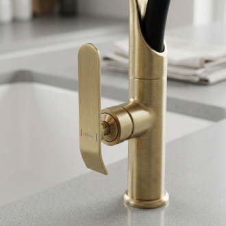 REA Kuchyňská baterie CASTOR - gold brush REA-B4321