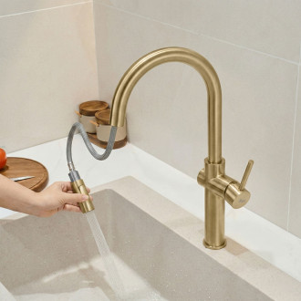 REA Kuchyňská baterie Fresh High Gold Brush REA-B7201