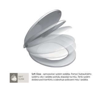 WC závěsné, RIMLESS, 530x355x360, keramické, včetně sedátka CSS124 VSD81S2