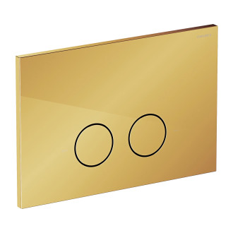 SET: STRONGFRAME stelaż podt. z ECO spłuk. + STEEL-R45 stal. przy. spł., złoty połysk