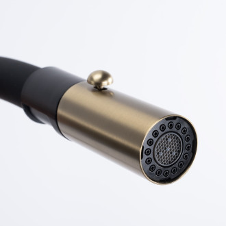 Kuchyňská baterie REA Viera - gold brush