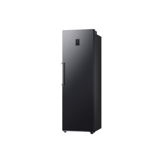 Volně stojící lednice Samsung RR70H39CEFEO