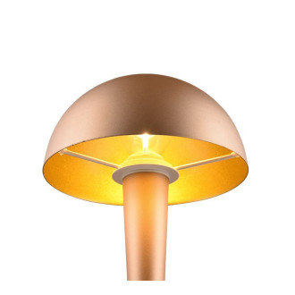 Stojací lampa REALITY CANARIA kávová kov R59561165